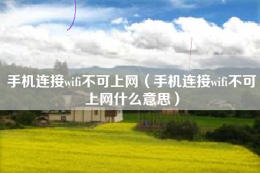 手机连接wifi不可上网(手机连接wifi不可上网什么意思)